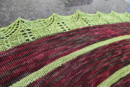 Pied Piper Shawl