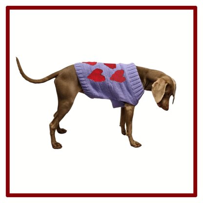 Valentine XL Dog Jumper