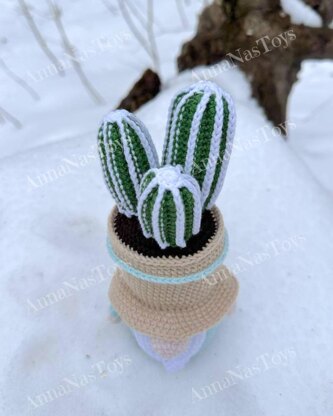 Gnome-cactus in a pot 3