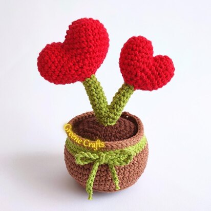 Heart Plant for Valentine's Day