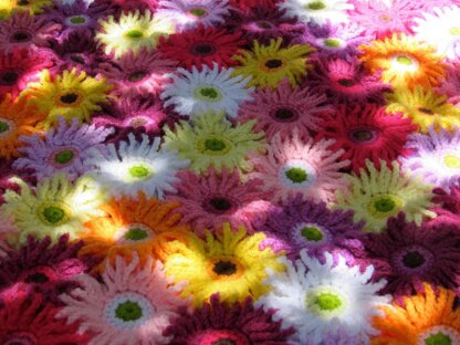 Gerbera garden blanket new arrivals