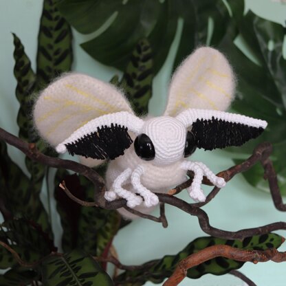 Venezuelan poodle moth clearance plush