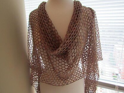 Lyric Opera Lace Wrap and Scarf