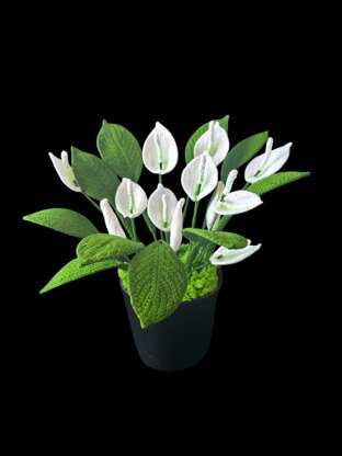Crochet Peace Lily flowers pattern