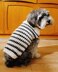 Eddie Striped Dog Sweater