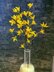 Easter tree yellows bells flower twig Forsythia spring flower