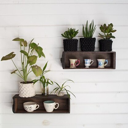 Project : 3 Plant Cozies