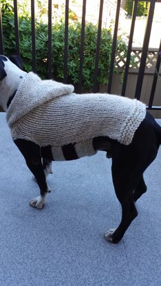 PItty Perfect sweater