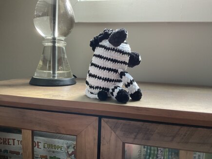 Zebra #4