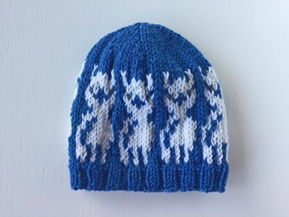 Baby Alpacas Hat