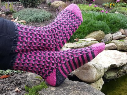 Zinger Socks