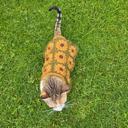 Sunflower Pet Sweater