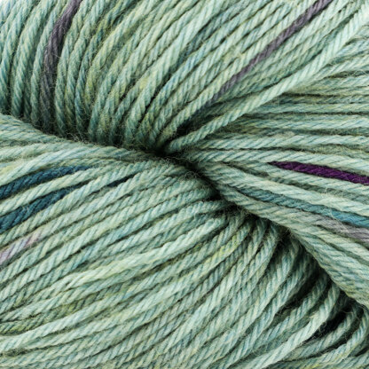 Indian Ocean (7)