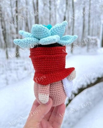 Gnome succulent_Echeveria