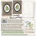 49 And Market Collection Pack 12"X12" - Vintage Artistry Sage