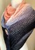 Beginner Triangle Shawl