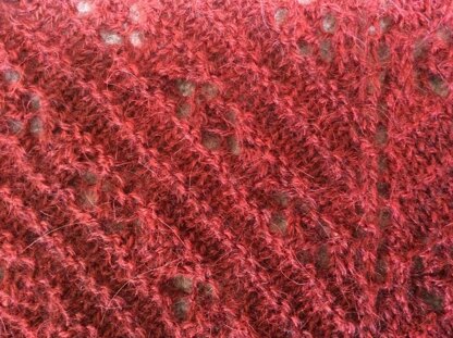 Daisy Shawl