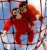 Fizz and Fuzz the Baby  Orangutan Identical Twins