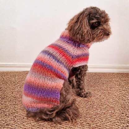 Easy-Peasy Pup Knit