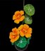 Crochet Nasturtium flowers