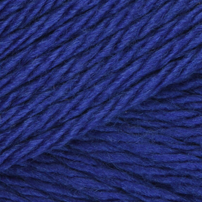 Blue Iris (172)