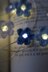 Forget Me Not