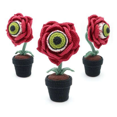 Eyeball Rose Flower in Pot