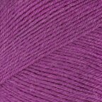 Blackcurrant Bomb (735)