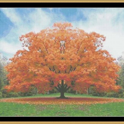 BRIGHT ORANGE OF FALL