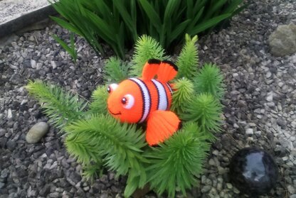 I found Nemo !