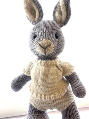 Elderberry Bunny and Outfits