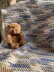 Marshmallow Blanket