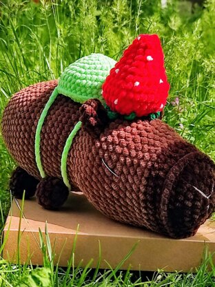 Capybara Strawberries