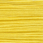 Sunshine Yellow (7)