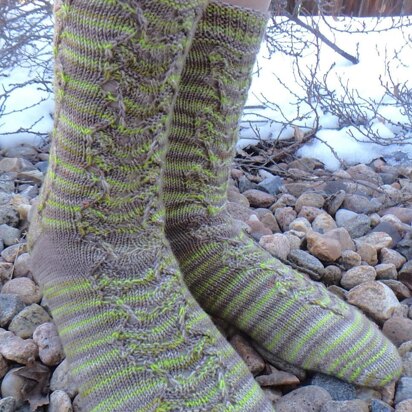 Bowtruckle Socks