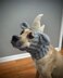 Rhino Dog Snood