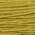 Paintbox Crafts 6 Strand Embroidery Floss 12 Skein Value Pack - Chartreuse (260)