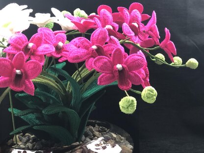 Dwarf Orchid Crochet Pattern