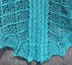 Salmon Net Shawl