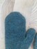 Worsted Wonderland Mittens