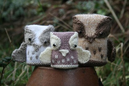 Owls - The Hoot Family