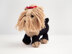 Coco the Yorkshire Terrier in Deramores Studio Anti-Pilling DK - Downloadable PDF