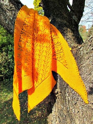 Sunshine Shawl