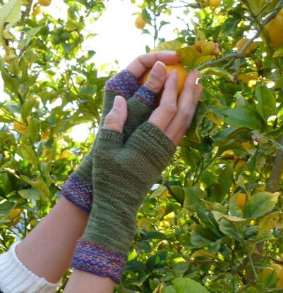 Koigu Linen Stitch Fingerless Gloves