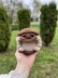 Plush Roly Poly Pill Bug