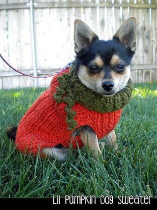 Lil Pumpkin Dog Sweater