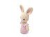 Bella the Bunny