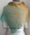 Lacy Lines Shawl