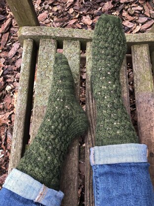 Philodendron Socks