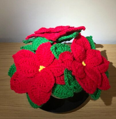 Poinsettia and Pot